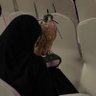 غيم's profile picture
