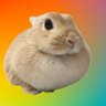 bdlisikurdboy's profile picture