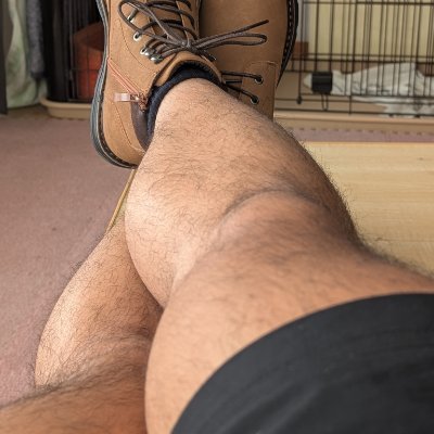 mister_calves's profile picture