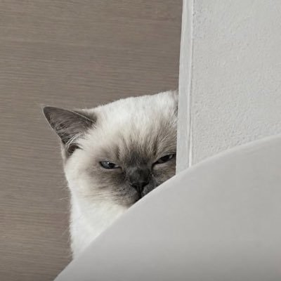 9DJHe3CUFh29674's profile picture