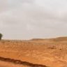 عبدالله 的头像