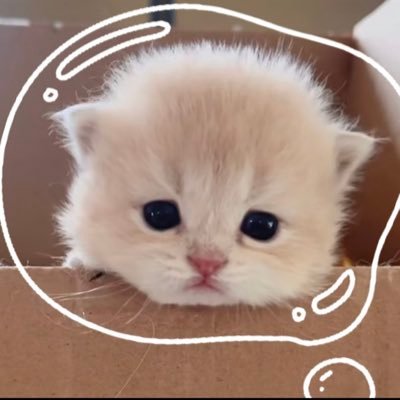 kgsvdb's profile picture