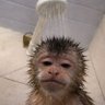 🐈🍇 profil fotoğrafı