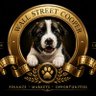 Profilbild von Wall Street Cooper