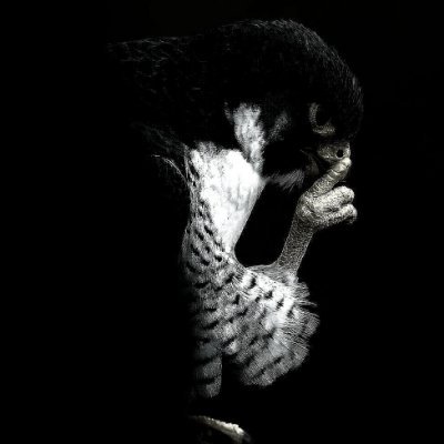 mario_365247's profile picture