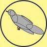 パジェり profil fotoğrafı