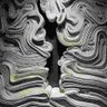 Фото профиля Leslee Cowles