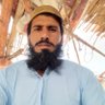 ھامشی صاحب's profile picture