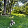 Cody profil fotoğrafı