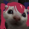 Profilbild von Otakus Del Dia a Dia