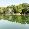 Anurag Gupta profil fotoğrafı