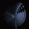 Profilbild von spit🟩