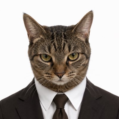 L9tbol5's profile picture