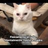 Oldman Jorge profil fotoğrafı