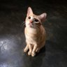 juragankost_100pintu's profile picture