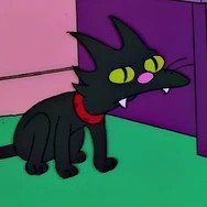 kitty's profile picture