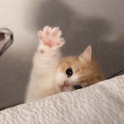 shelaism's profile picture