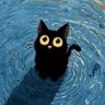 Profilbild von .