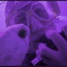 Purple Warrior profil fotoğrafı