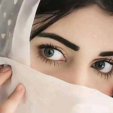 Nour 🕊️'s profile picture