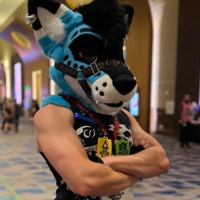 Kriegar Wolf's profile picture