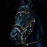 Karim_501's profile picture