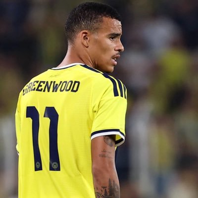 Fenerbahçe Türkiye's profile picture