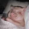 Matthew's profile picture