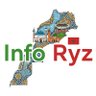 inforyz profil fotoğrafı
