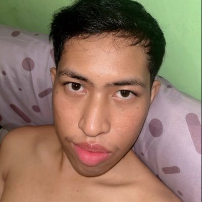 setrikakusuttt's profile picture