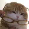 Kultz's profile picture