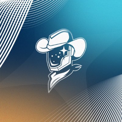 Sugar Land Space Cowboys's profile picture