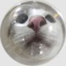 ぴ. 的头像
