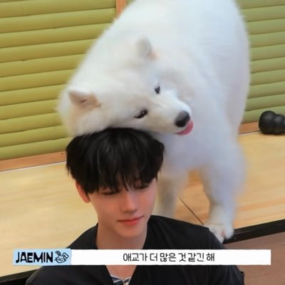 ๋์ด's profile picture
