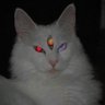 Cchompz_alt profil fotoğrafı