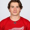 XL🇨🇦🦉's profile picture