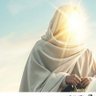 Фото профиля Abu Mohajer Alansari
