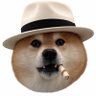 柴犬くまきち🐻's profile picture