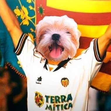 Darío🦇's profile picture