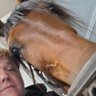 Axel Karlsson's profile picture