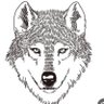 Arabian lone wolf's profile picture