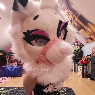 🍪puppy_bites🐾's profile picture