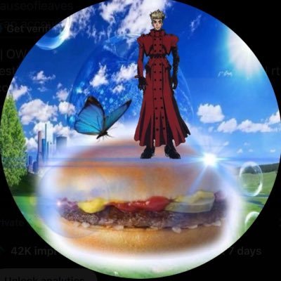 vash of hamburgertwt's profile picture