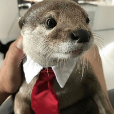 nufns_'s profile picture