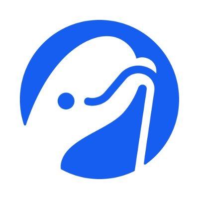 Beluga's profile picture