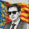 Profilbild von Vicent Garcia
