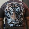 RCBian's profile picture