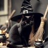 Salem's profile picture