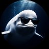 Beluga's profile picture