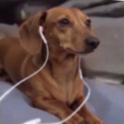 fatchud's profile picture
